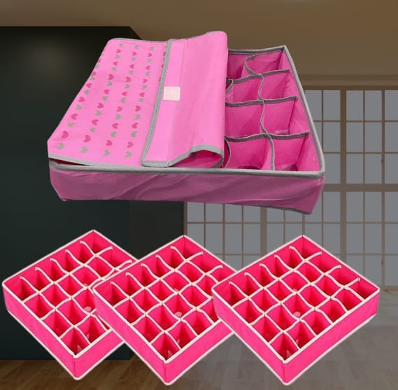 24 Pocket Multipurpose Socks Organizer